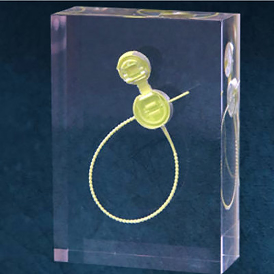 Trophée Plexiglass Inclusion -  EDF GDF