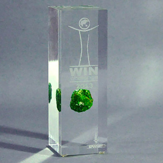 Trophée Plexiglass Inclusion - Win