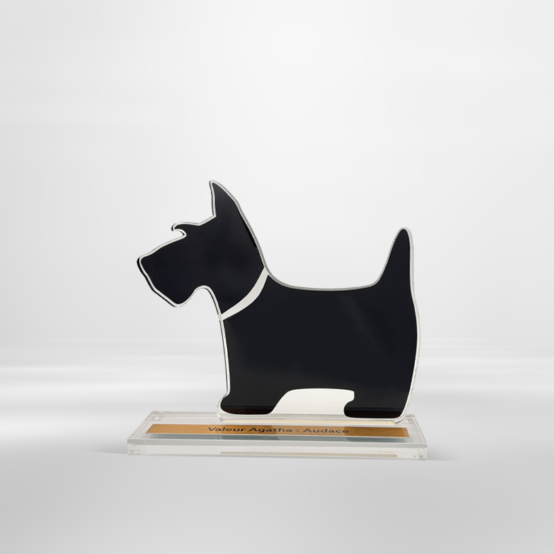 Trophée personnalisé sur mesure acrylique - Agatha