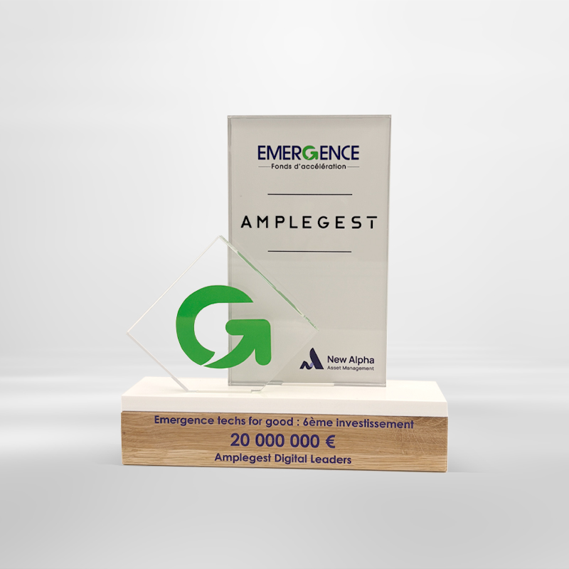 Trophée personnalisé sur mesure acrylique bois - Emergence