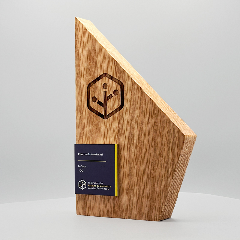 Trophée personnalisé sur mesure bois - FACT