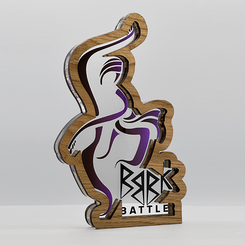 Trophée personnalisé sur mesure bois plexi - BBBK