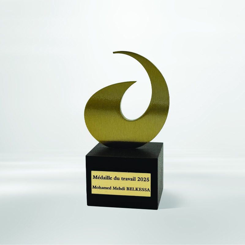 Trophée personnalisé sur mesure métal - AER holding