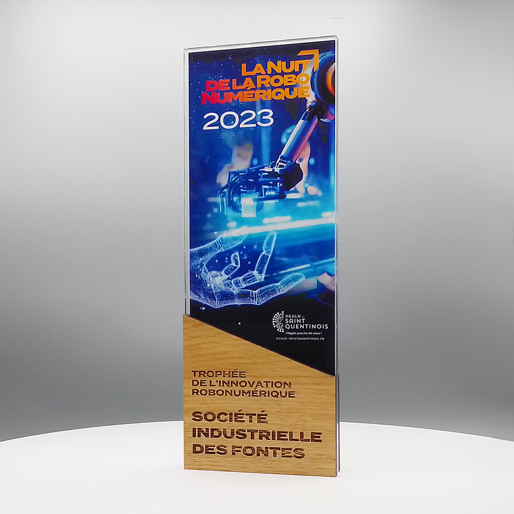 Trophée plexi bois - robo meetings