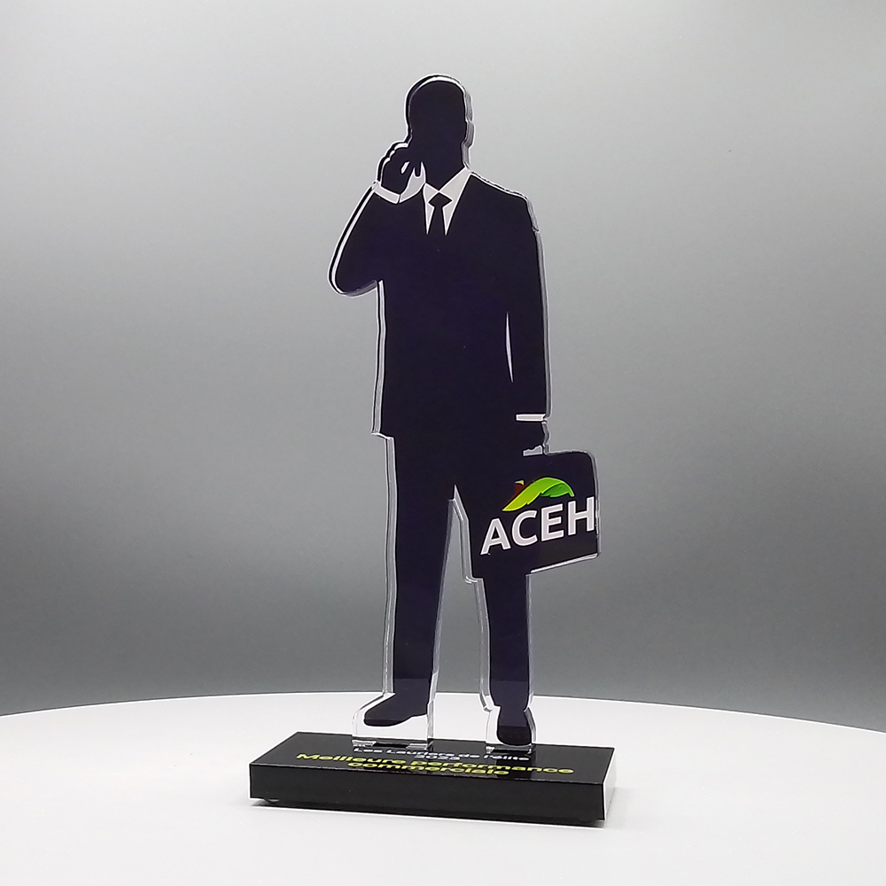 Trophée Plexiglas - ACE CONSULTING