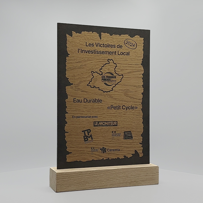 Trophée sur mesure bois - FRTP PACA