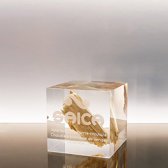 Trophée Inclusion - Saica