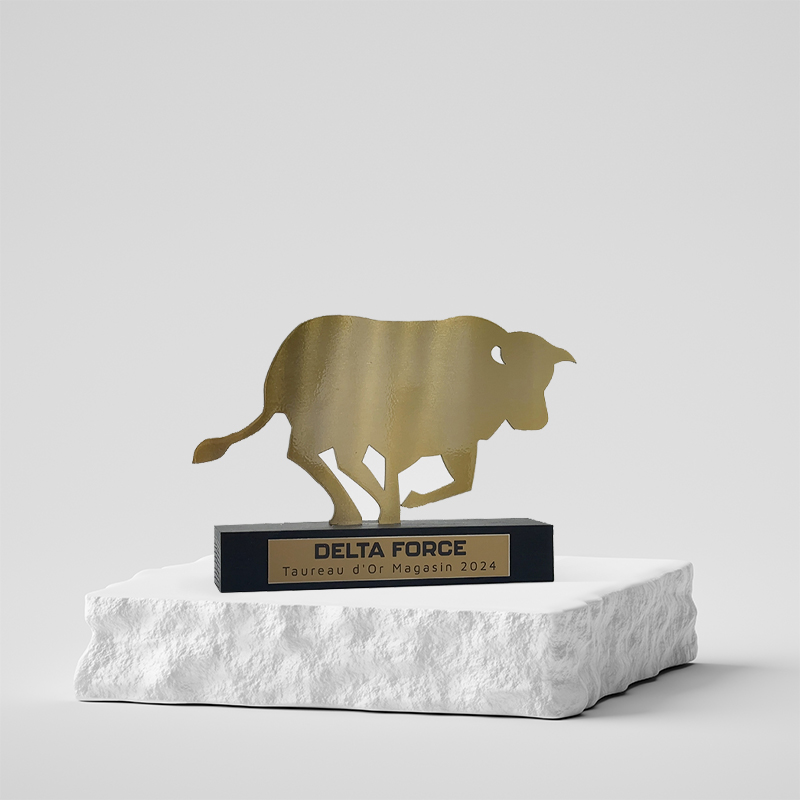 Trophée sur mesure métal bois - Delta Force France