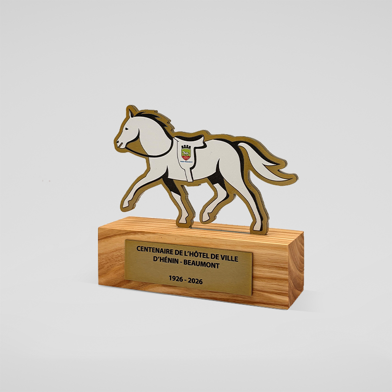 Trophée sur mesure métal - Hénin Beaumont